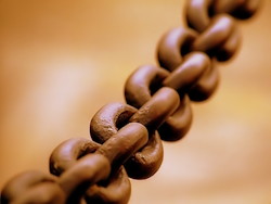 Broad chain closeup.