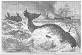 Fishing for the Whale, 1870.